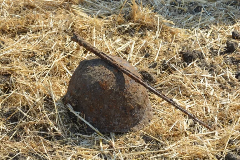 Зачем останки хранят в мешках и как отличают русских от немцев: секреты работы поисковиков в Краснодарском крае и России