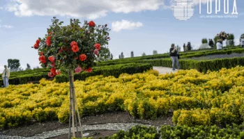 Туристы не понимают запрета выгула собак в парке Краснодар