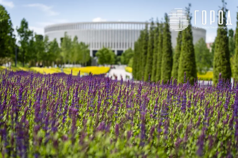 Парк Голицына в Краснодаре: россияне не знают названия парка Галицкого