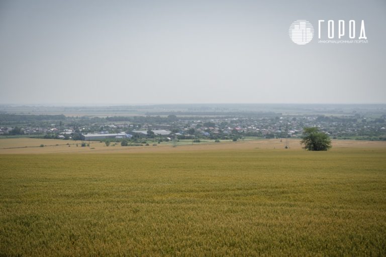 В Краснодарском крае сократили на 4900 га площади сельхозземель и лесов