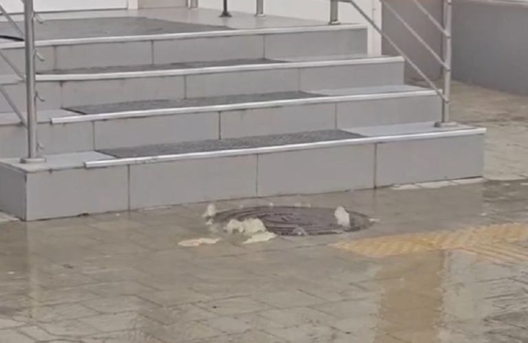 «Краснодар превращается в реку Ганг»: город тонет в фекалиях, а Росводоканал в деньгах