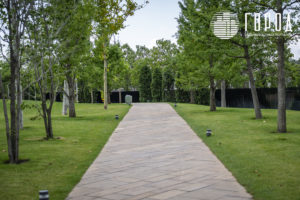 Стройка парка Облаков в парке Галицкого июль 2025 (1)