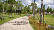 Стройка парка Облаков в парке Галицкого июль 2025 (19)