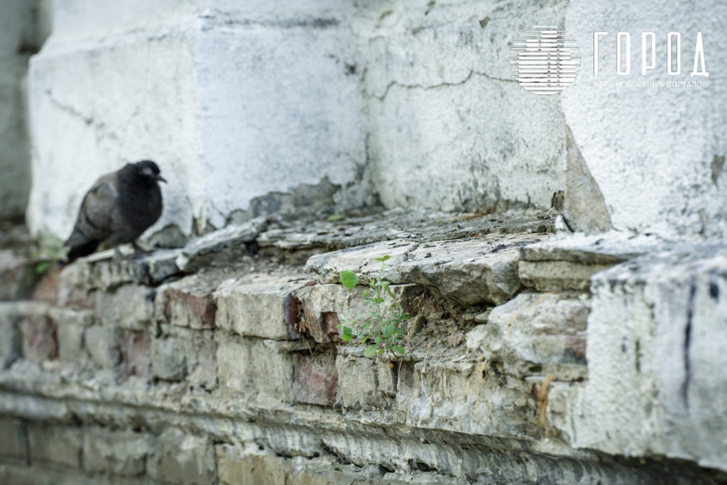 Городской Сад Краснодар-3418