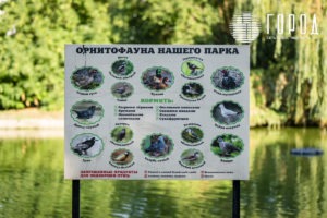 Городской Сад Краснодар-3420