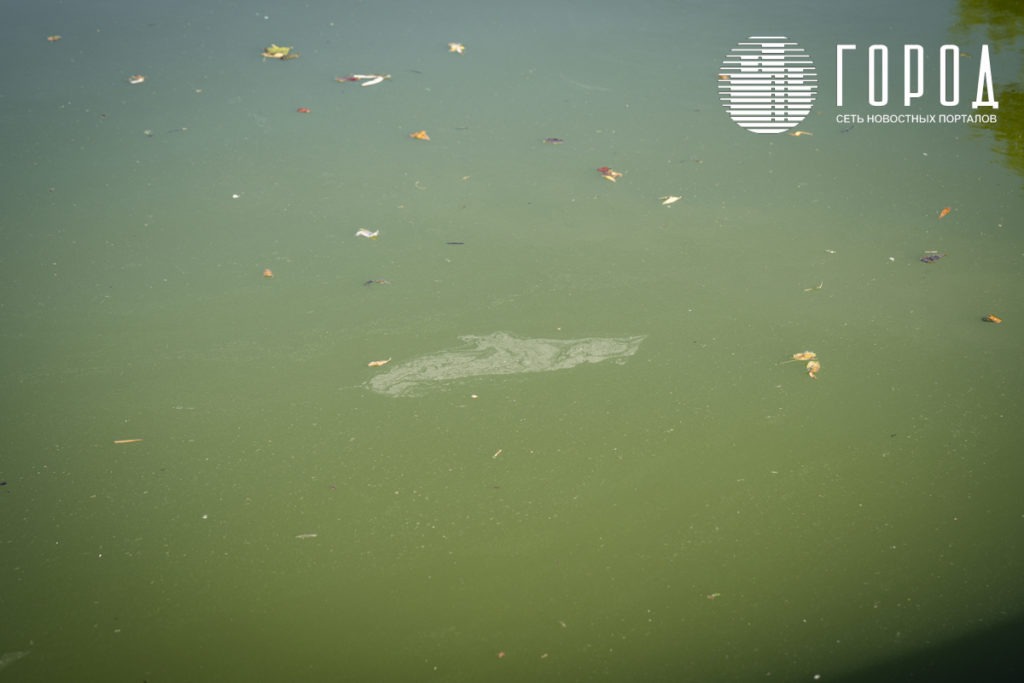 У воды неприятный запах