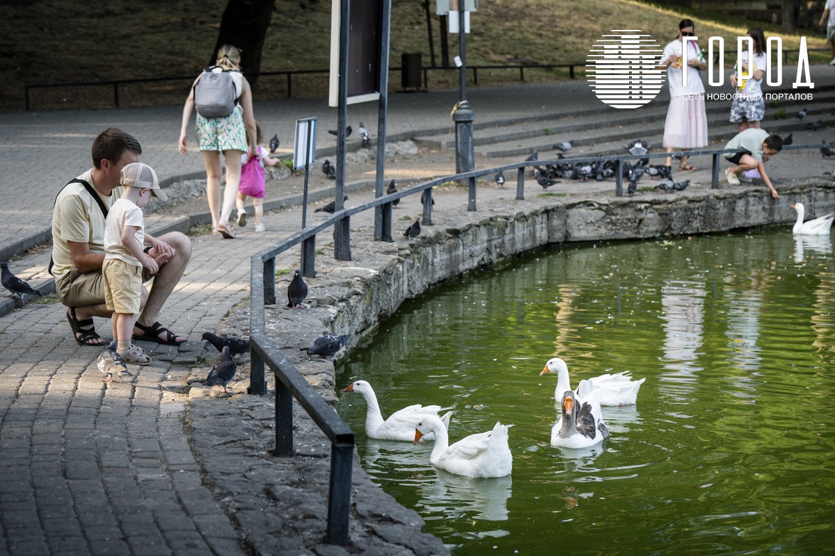 Городской Сад Краснодар-3435