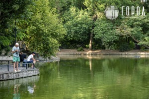 Городской Сад Краснодар-3439