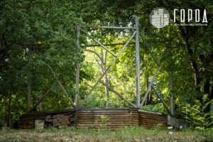 Городской Сад Краснодар-3452