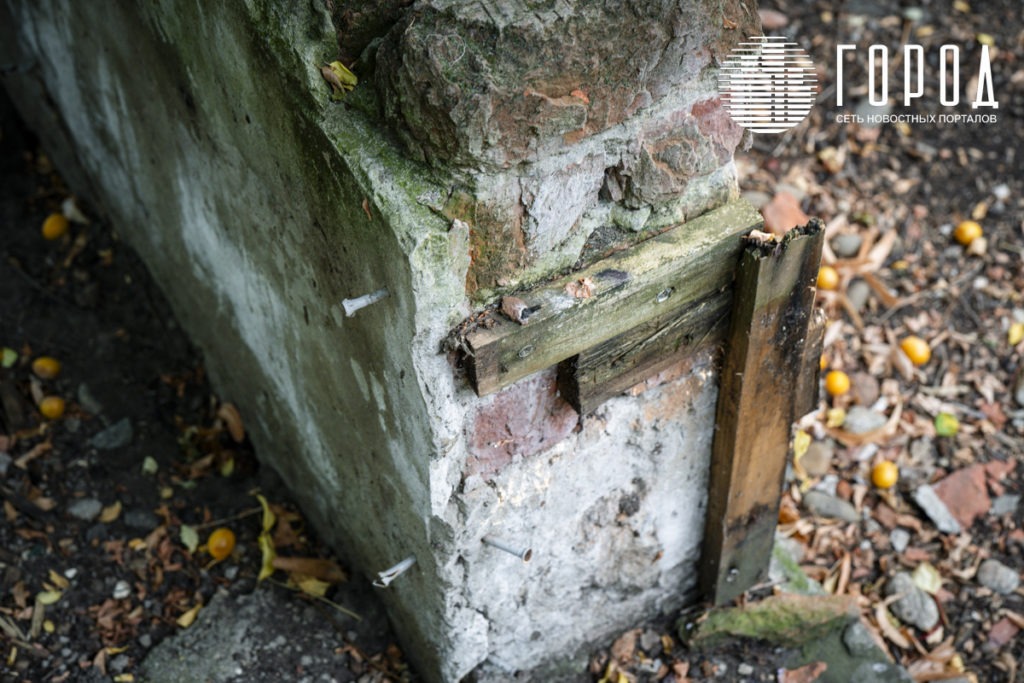 Городской Сад Краснодар-3454