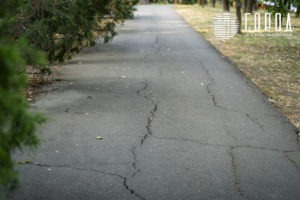 Городской Сад Краснодар-3457