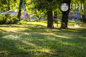 Городской Сад Краснодар-3460