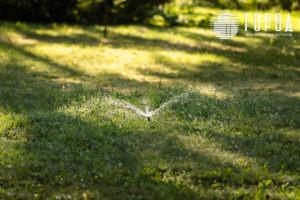 Городской Сад Краснодар-3461