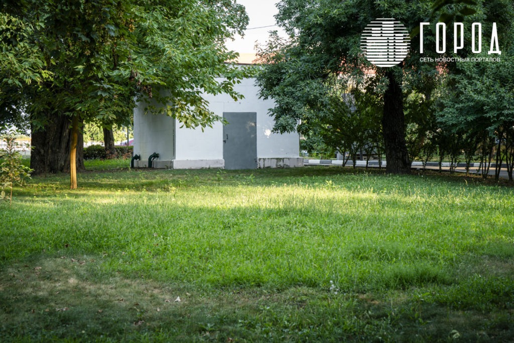 Городской Сад Краснодар-3466