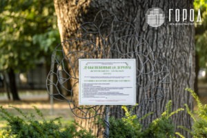 Городской Сад Краснодар-3472