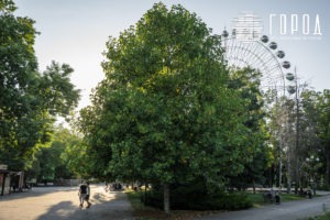 Городской Сад Краснодар-3483