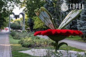 Городской Сад Краснодар-3485