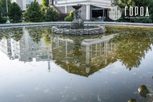 Городской Сад Краснодар-3491