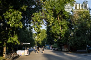 Городской Сад Краснодар-3505
