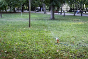 Городской Сад Краснодар-3509