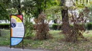 Мэр Краснодара об озеленении города
