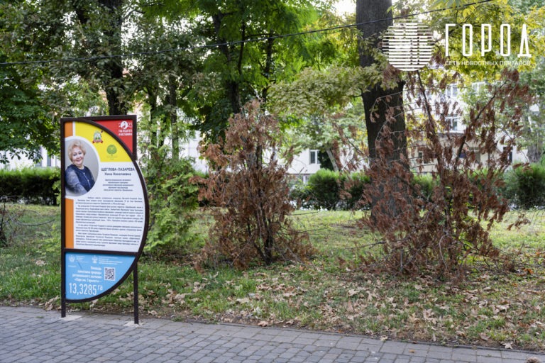 Мэр Евгений Наумов солгал об озеленении Краснодара