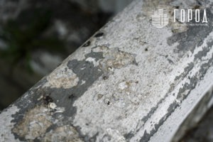 Городской Сад Краснодар-3527