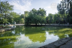 Городской Сад Краснодар-7485