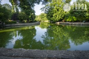 Городской Сад Краснодар-7488