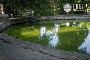 Городской Сад Краснодар-7489