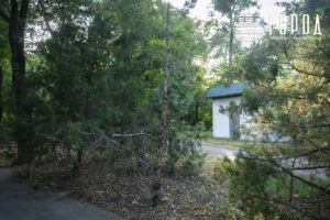 Городской Сад Краснодар-7492