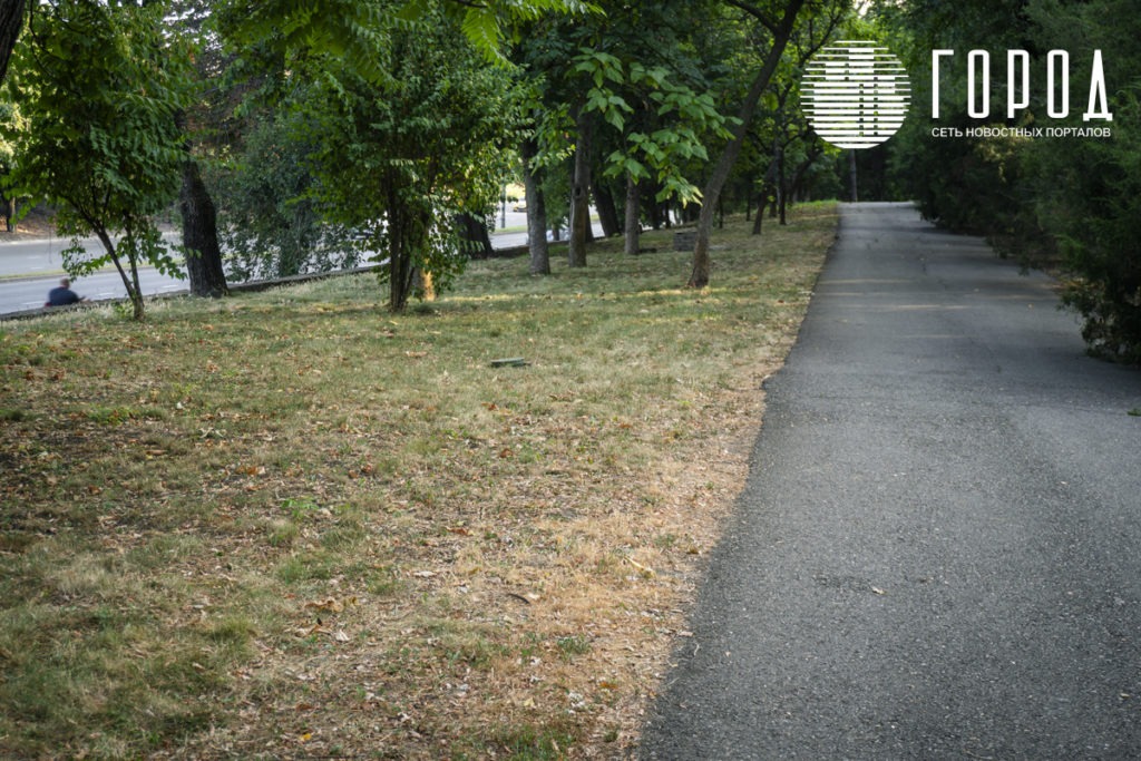 Жёлтая трава в Горсаду