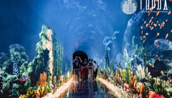 Кроличья Нора парк Галицкого-4571