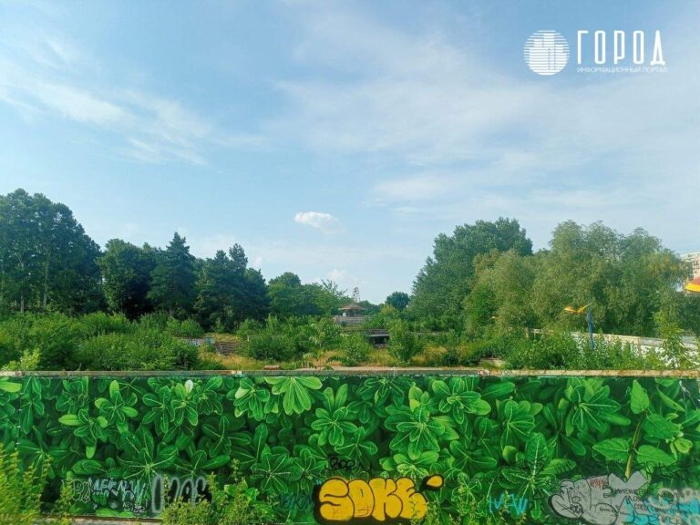 В Краснодаре национализировали заброшенный аквапарк на Затоне