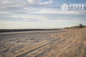 Пляж Эра Анапа как готовятся к выбросам мазута и ждут экокатастрофы (27)