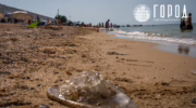 Проблемы Азовского моря