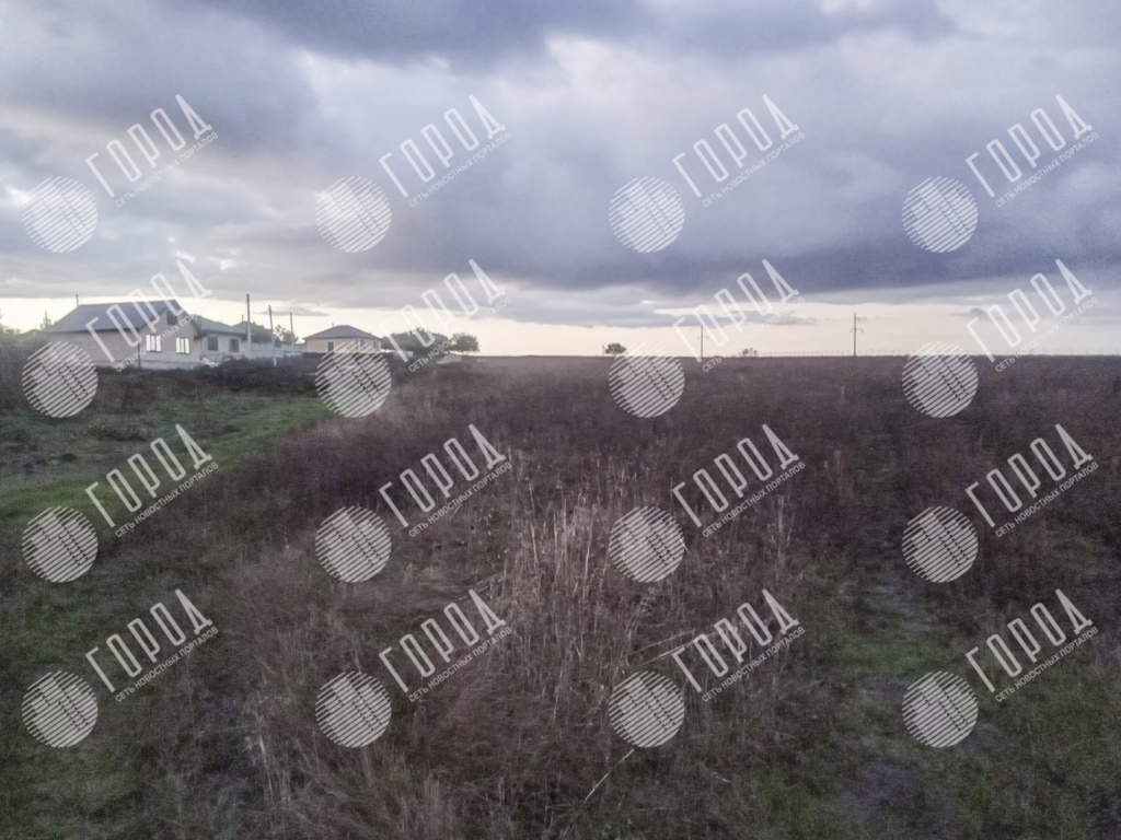 участки земли за которые посадили Леся (1)