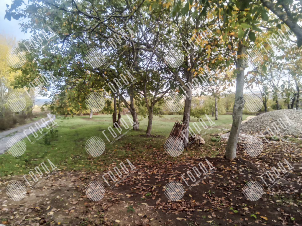 участки земли за которые посадили Леся (6)