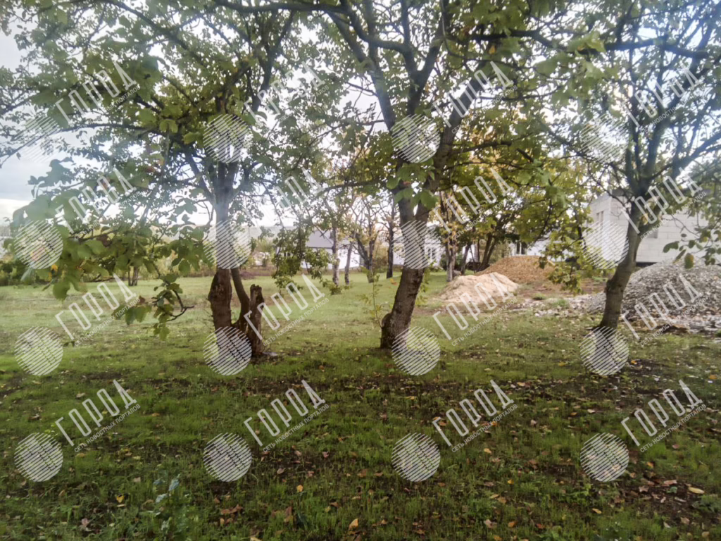 участки земли за которые посадили Леся (7)