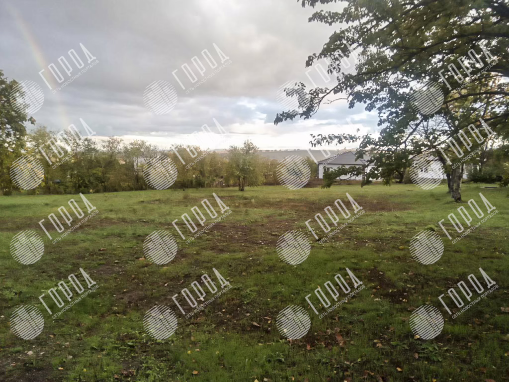 участки земли за которые посадили Леся (8)