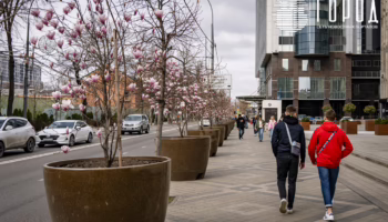 Высадка деревьев на Главной городской площади
