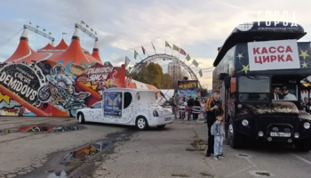 Где можно выступать циркам и зоопаркам в Краснодаре