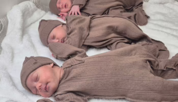 Рождаемость в Краснодарском крае