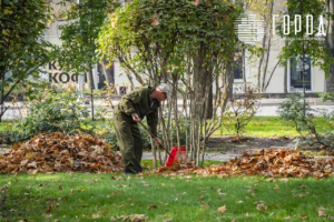 Сергей Галицкий украшения Красной к Новому 2026 году (6413)