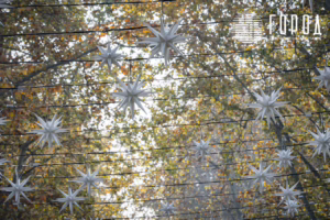 Сергей Галицкий украшения Красной к Новому 2026 году (6415)