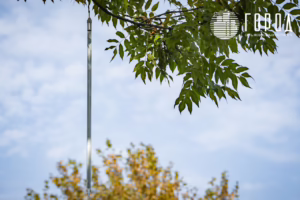 Сергей Галицкий украшения Красной к Новому 2026 году (6420)