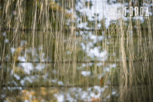 Сергей Галицкий украшения Красной к Новому 2026 году (643)