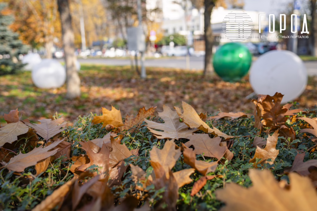 Сергей Галицкий украшение Красной к Новому 2026 году (57)