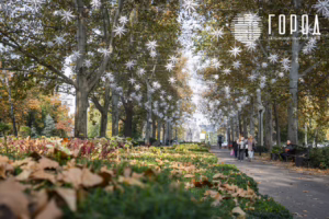 Сергей Галицкий украшения Красной к Новому 2026 году (6441)