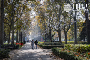 Сергей Галицкий украшения Красной к Новому 2026 году (6442)